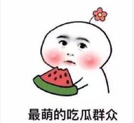 娱乐圈吃瓜感慨句子搞笑